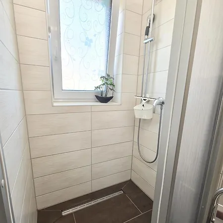 Möwe Traumhafte Lage Am Achterwasser Hunde Willkommen *